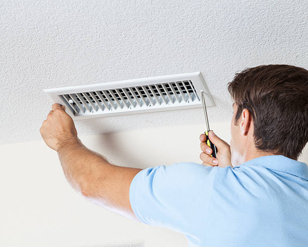 Best Industrial Mold Remediation  in South Amboy, NJ